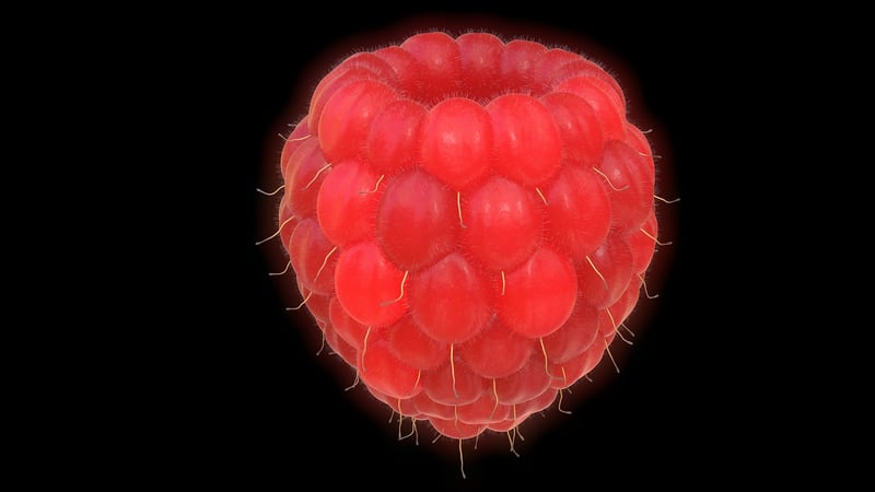 Raspberry Cocktail